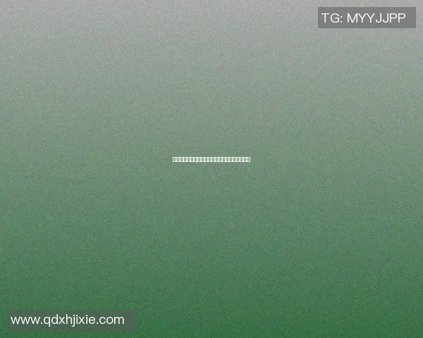 巴恩斯特与布伦特福德的精彩对决分析与赛前预测